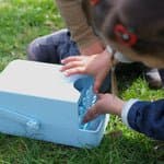 Lalarma Sæbeboblemaskine - Blå - billede 2